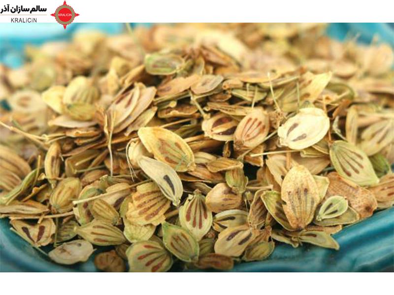 گلپر یک گیاه دارویی است که در ایران و برخی کشورهای همسایه مانند افغانستان و پاکستان یافت می‌شود. این گیاه از خانواده چتریان بوده و با نام‌های دیگری همچون "گلپری"، "گلپری خاکی" و "چترا" نیز شناخته می‌شود.