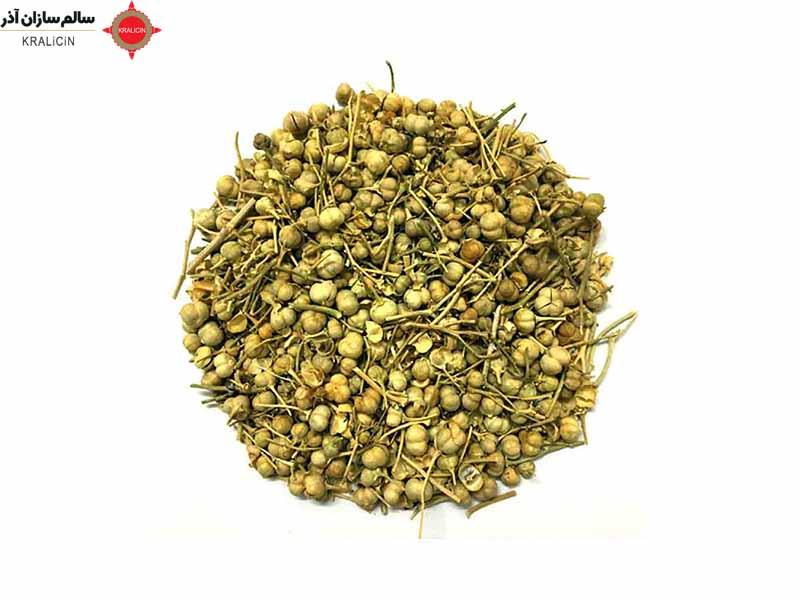 در حالت کلی، اسپند گیاهی است که از خانواده چایان (Theaceae) است و برگ‌های آن برای تهیه چای سبز مصرف می‌شود. این گیاه در برخی کشورها مانند چین، ژاپن و کره جنوبی بسیار معروف است و به عنوان یکی از نوشیدنی‌های سنتی این مناطق شناخته می‌شود.