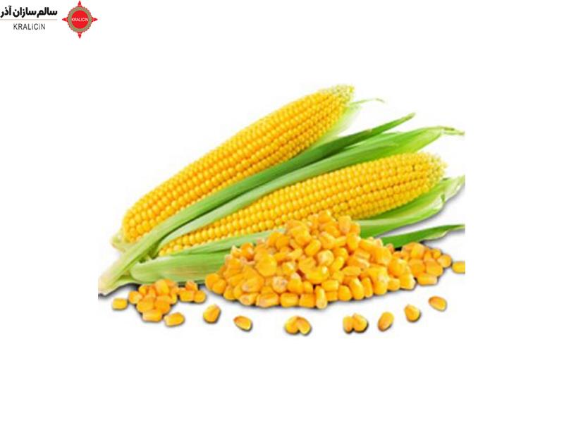 قيمت ذرت فله قيمت ذرت در بازار آزاد قيمت ذرت كرمانشاه | تا 8 درصد تخفيف 100درصد خالص و درجه يك   خريد عمده و جزئي