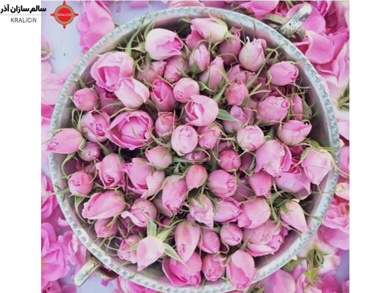 غنچه گل محمدی یا همان رز محمدی، گلی است که در بسیاری از کشورها کشت می‌شود و بسیار محبوب است. این گل با رنگ‌های مختلفی از جمله سفید، صورتی، قرمز و بنفش موجود است. غنچه‌های گل محمدی خشک شده به عنوان یک ادویه گیاهی مورد استفاده قرار می‌گیرند.