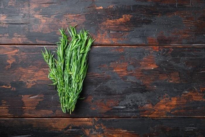 خريد و فروش ترخون-ترخون خشك شده | تا 8 درصد تخفيف 100درصد خالص و درجه يك - خريد عمده و جزئي خريد و فروش ترخون-ترخون خشك شده | تا 8 درصد تخفيف 100درصد خالص و درجه يك - خريد عمده و جزئي