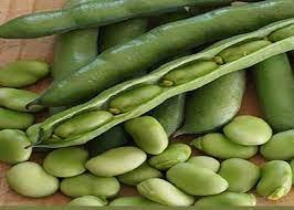 قيمت لپه در تبريز-قيمت لپه باقلا سبز | تا 8 درصد تخفيف 100درصد خالص و درجه يك - خريد عمده و جزئي