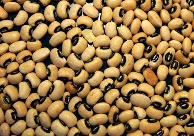 لوبيا چشم بلبلي ريز | تا 8 درصد تخفيف 100درصد خالص و درجه يك - خريد عمده و جزئي لوبيا چشم بلبلي ريز | تا 8 درصد تخفيف 100درصد خالص و درجه يك - خريد عمده و جزئي