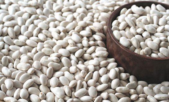 قيمت لوبيا سفيد عمده-قيمت لوبيا سفيد صادراتي | تا 8 درصد تخفيف 100درصد خالص و درجه يك - خريد عمده و جزئي قيمت لوبيا سفيد عمده-قيمت لوبيا سفيد صادراتي | تا 8 درصد تخفيف 100درصد خالص و درجه يك - خريد عمده و جزئي