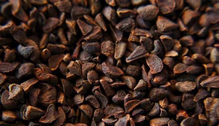 اسپند مرغوب | تا 8 درصد تخفيف 100درصد خالص و درجه يك - خريد عمده و جزئي اسپند مرغوب | تا 8 درصد تخفيف 100درصد خالص و درجه يك - خريد عمده و جزئي