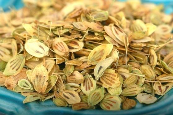 خريد گلپر عمده | تا 8 درصد تخفيف 100درصد خالص و درجه يك - خريد عمده و جزئي