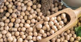 قيمت سويا عمده-قيمت سويا كيلويي | تا 8 درصد تخفيف 100درصد خالص و درجه يك - خريد عمده و جزئي