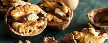 فروش عمده مغز گردو | تا 8 درصد تخفيف 100درصد خالص و درجه يك - خريد عمده و جزئي